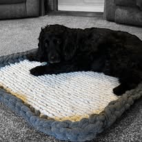 Small Dog Bed